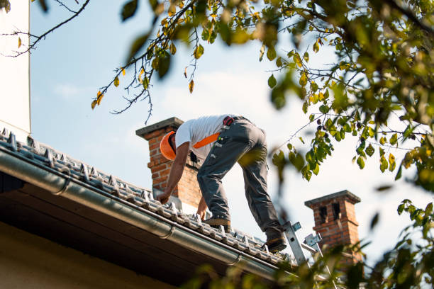 Best Roof Leak Repair  in Nneconne, WI