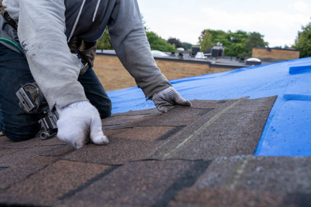 Best Residential Roofing Contractor  in Nneconne, WI