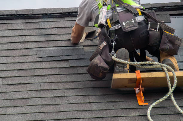 Best Storm Damage Roof Repair  in Nneconne, WI